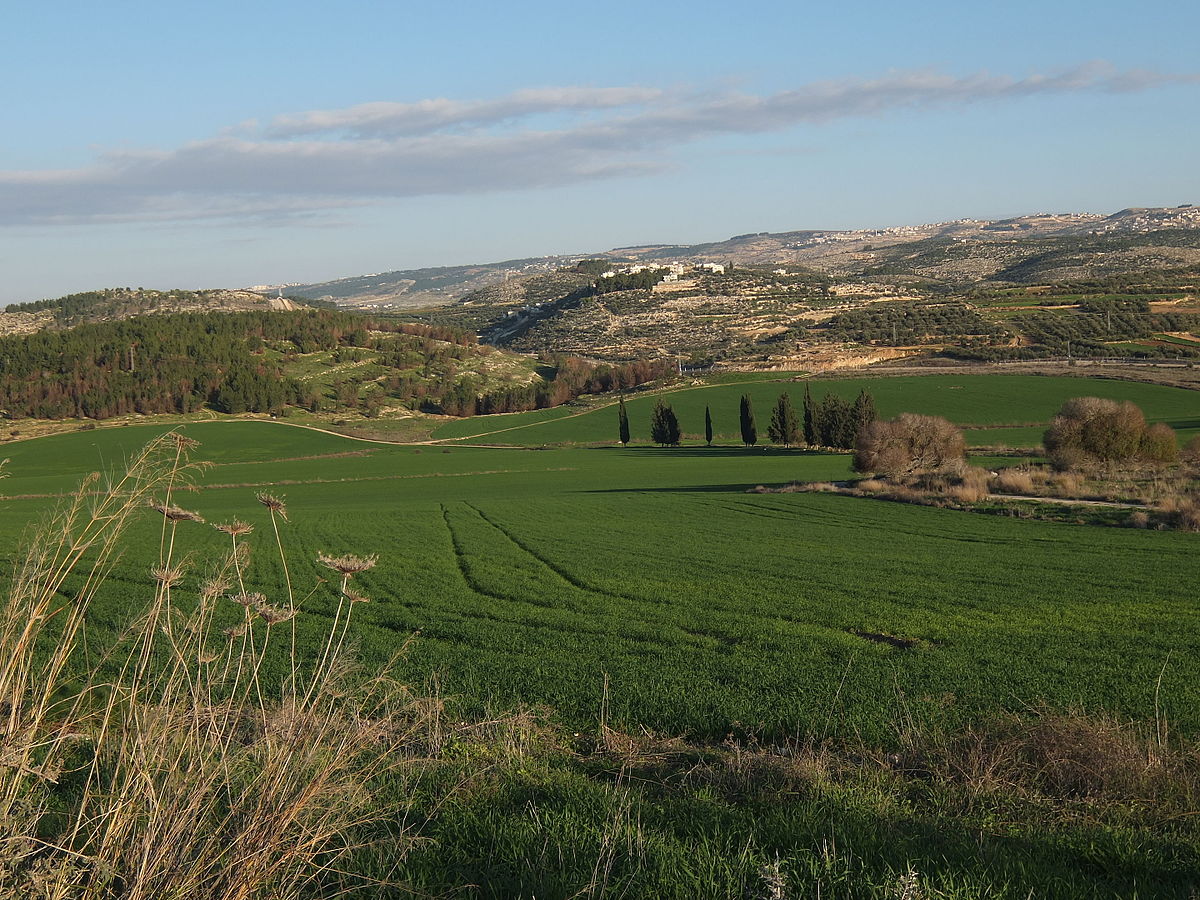 The Land of Milk and Honey: Understanding the Geography of Israel in the Bible hero image