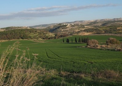 The Land of Milk and Honey: Understanding the Geography of Israel in the Bible blog image